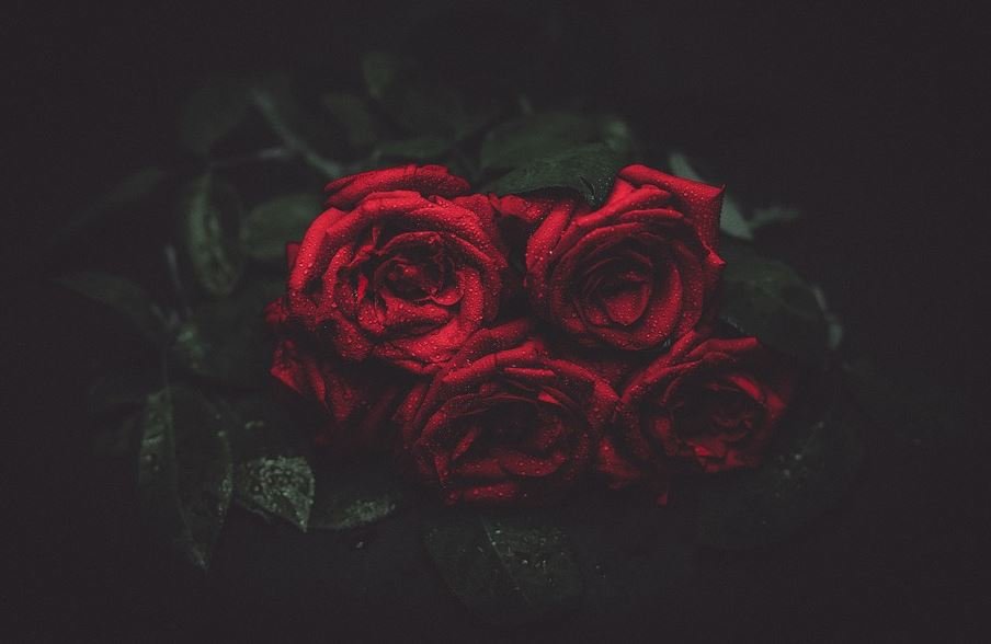 Arranging Cremation Services  