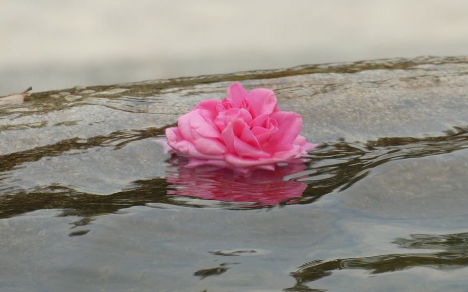 Dealing With Grief After Cremation Services    