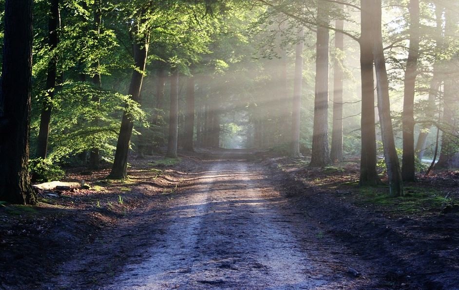 Funeral Homes and Personalized Funerals  