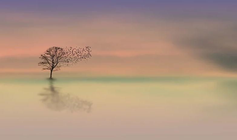 The Truth Behind Funeral Home Myths   