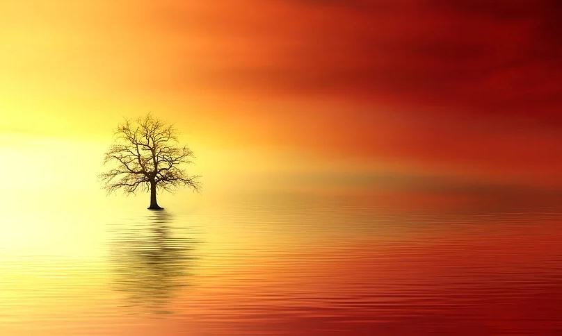 Navigating Cremation Services Around the Holidays 