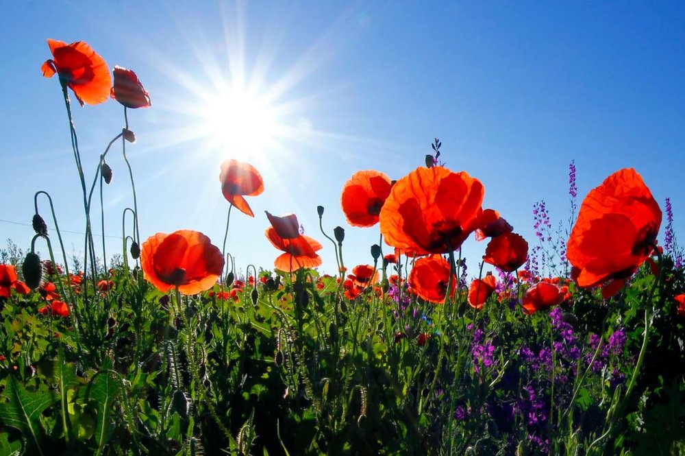 Indoors Vs. Outdoors for Funeral Services 